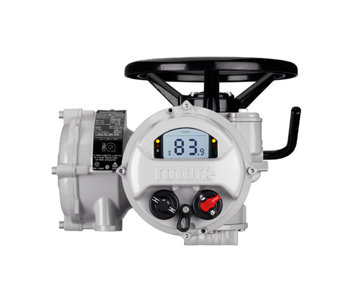 羅托克電動執(zhí)行器型號是否齊全？哪些廠家信得過？
